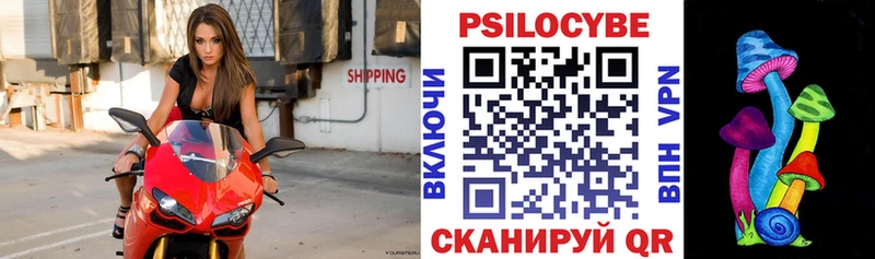 где можно купить   Новоалександровск  Галлюциногенные грибы ЛСД 